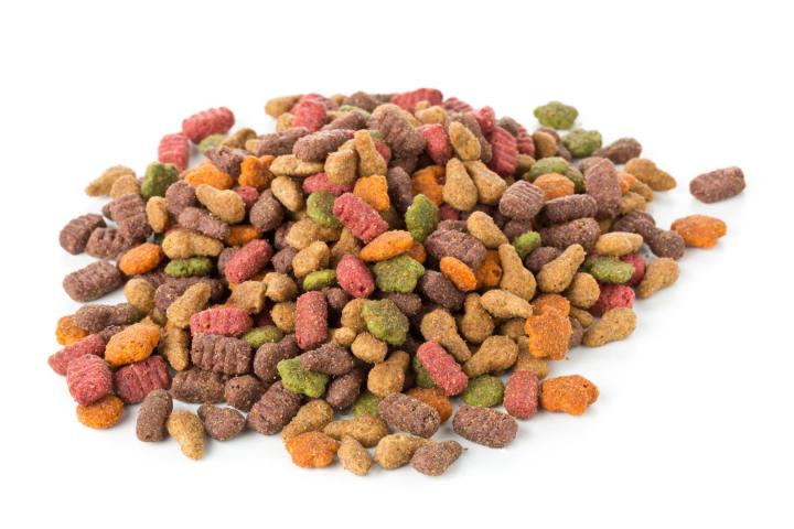 Pet Food and Care